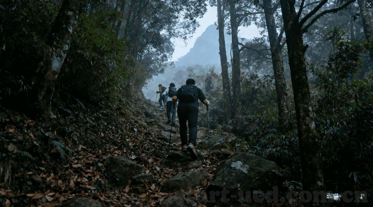 乐鱼体育在线网站入口-乐鱼体育在线网站入口，开启体育新风尚）