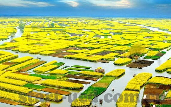 mk体育app曼联赞助-MK体育App与曼联赞助，重塑数字时代体育营销的新篇章